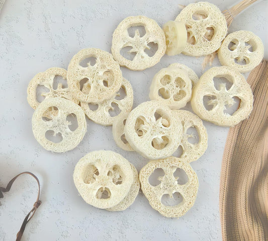 Loofah (slices)